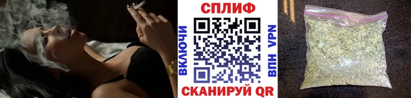 COCAIN Балашов