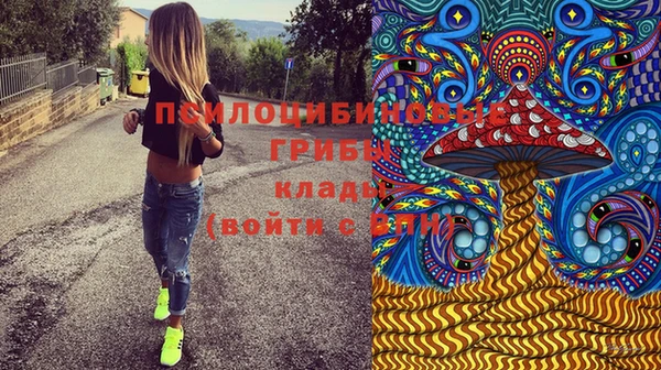 дурь Алексеевка
